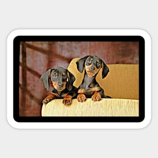 Two's Company Dachshund's Sticker